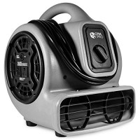 CFM Pro Air Mover Carpet Floor Dryer 3 Speed 1/5 HP Blower Fan with 2 Outlets - Grey - Industrial Water Flood Damage Restoration - B01LXHIOTJ